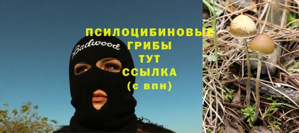 сатива Сафоново